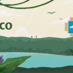 Pico branding banner: tropical seascape with the word 'Pico' and a blue eSIM chip icon on the right.