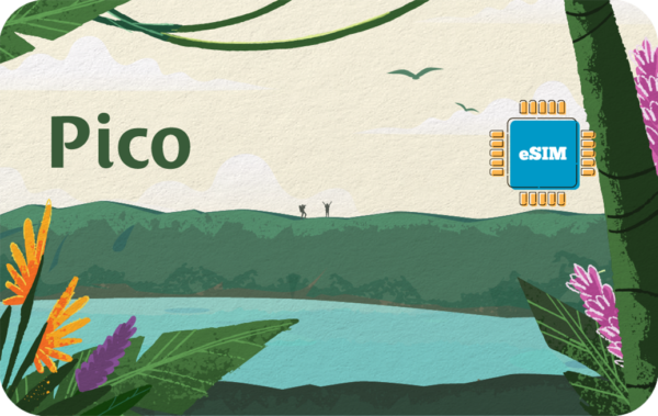 Tropical landscape illustration with water and green hills, large tropical plants in the foreground, the word Pico on the left, and a blue eSIM chip logo on the right.
