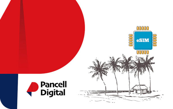 Company branding for Panell Digital with a tropical island sketch and an eSIM chip on the right side.
