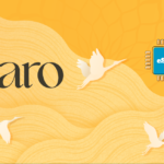 Paro eSIM card on a yellow wavy background with white birds flying around.
