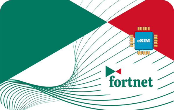 Illustration of a blue eSIM chip with gold pins, green and red abstract shapes, and the Fortinet logo in teal text.